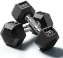Rubber Dumbbells (Pair) | SGS Sports