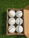Leather Ball (Pack of 6) | SGS Sports